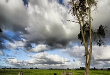 Crypto's Powerful Resurgence: Bitcoin & Top Altcoins Ignite: The Breakthrough Drivers Behind Today's Market Surge