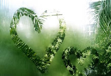 Crypto's Powerful Resurgence: Bitcoin & Top Altcoins Ignite: The Breakthrough Drivers Behind Today's Market Surge