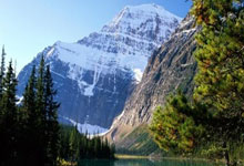 Crypto's Powerful Resurgence: Bitcoin & Top Altcoins Ignite: The Breakthrough Drivers Behind Today's Market Surge