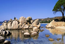 Crypto's Powerful Resurgence: Bitcoin & Top Altcoins Ignite: The Breakthrough Drivers Behind Today's Market Surge