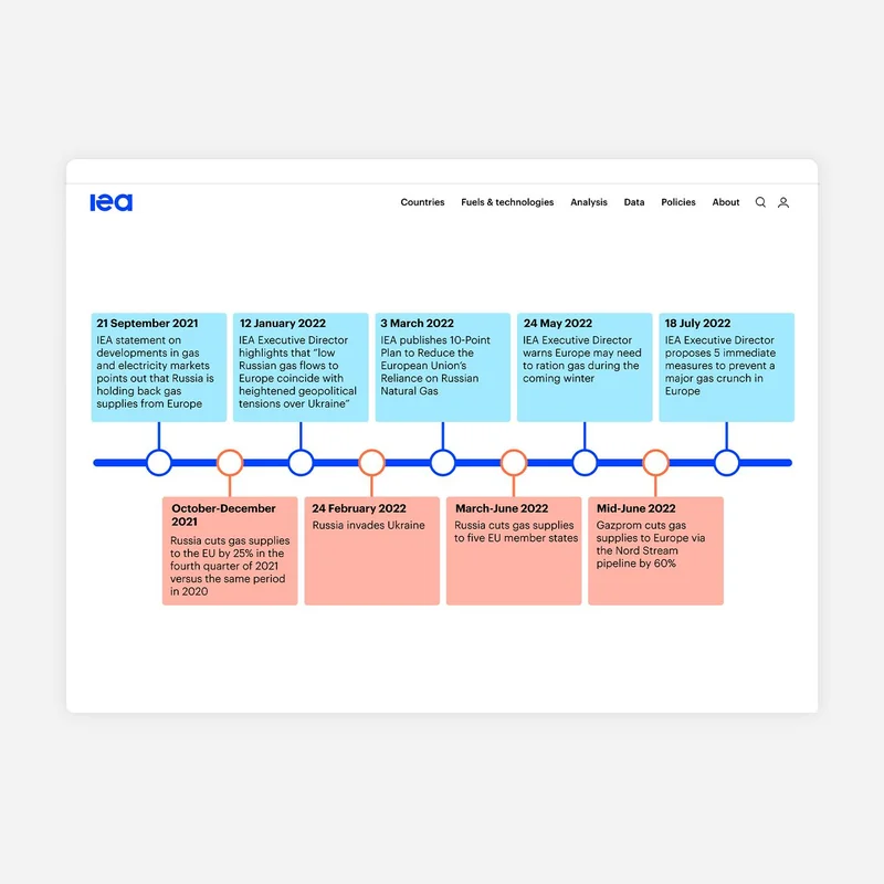 The IEA's Historic Declaration: What You Need to Know About This Paradigm Shift