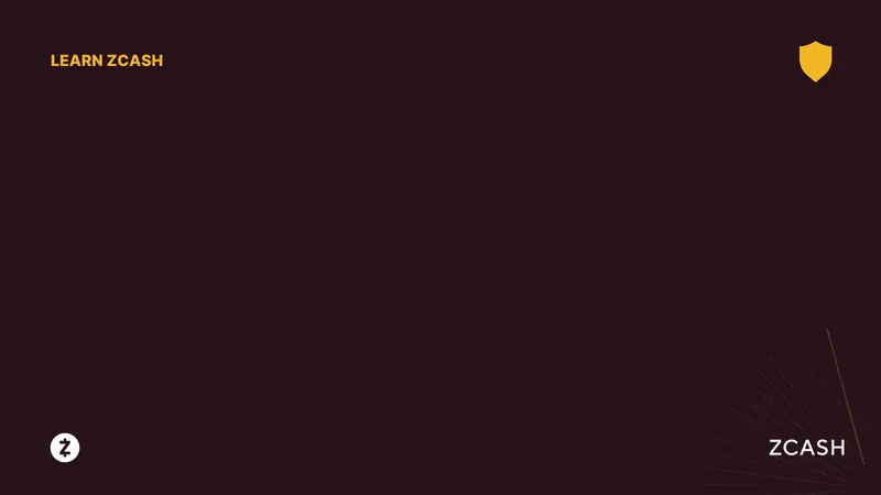 Zcash Rebrands as Cypherpunk: Winklevoss Twins Bet and Network Usage Surges